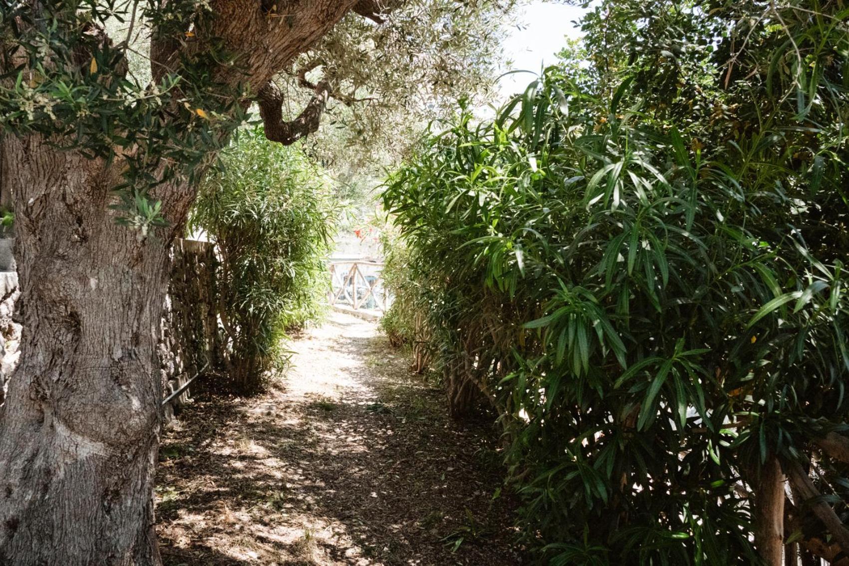Amalfi Gioia House Apartment ภายนอก รูปภาพ